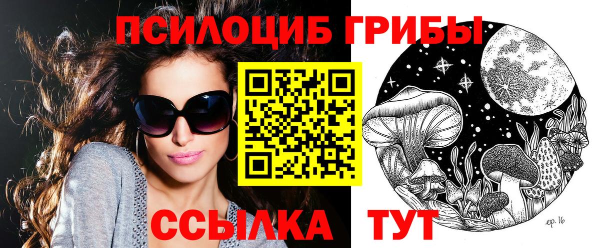 Псилоцибиновые грибы ЛСД  закладка  Псилоцибиновые грибы прущие грибы  Кемерово  Вход с VPN 