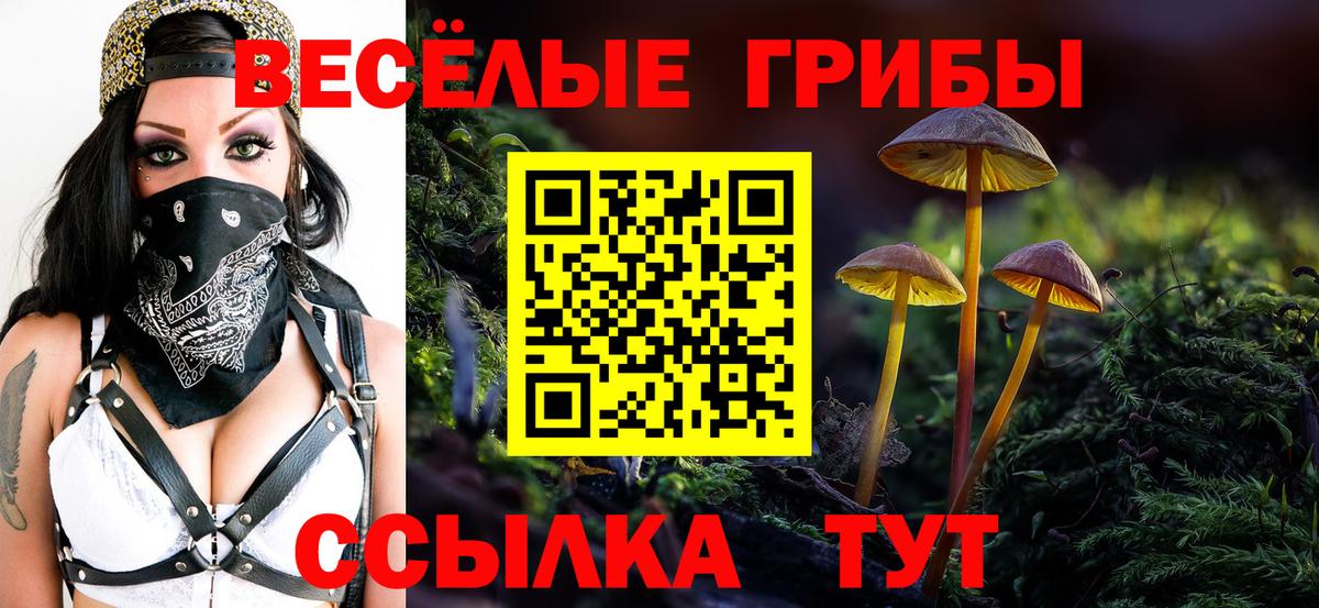 Галлюциногенные грибы Psilocybe Кемерово